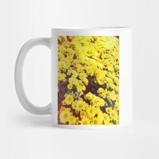 Yellow Daisy Mug